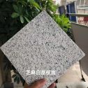 衢州 芝麻白荔枝面干挂