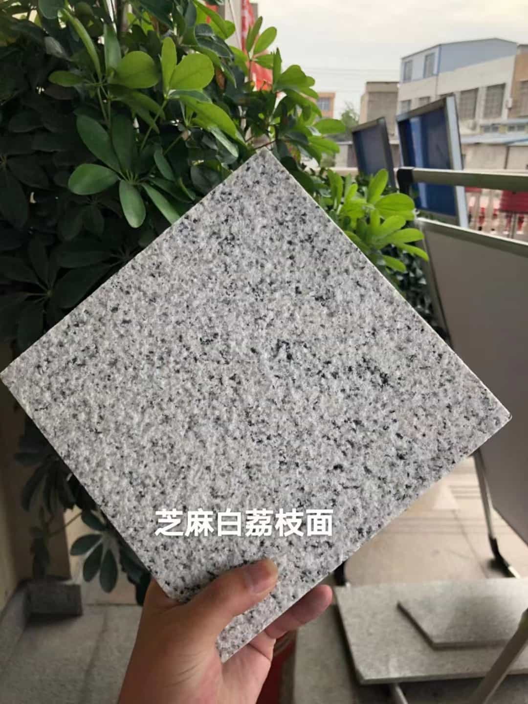 衢州 芝麻白荔枝面干挂