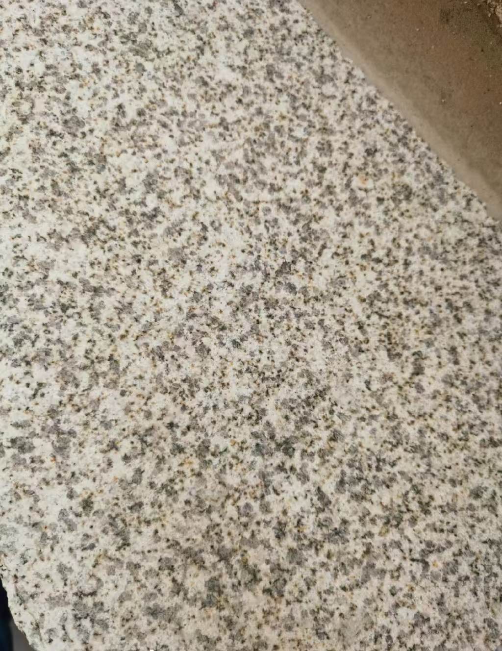 衢州 黄金麻中黄光面