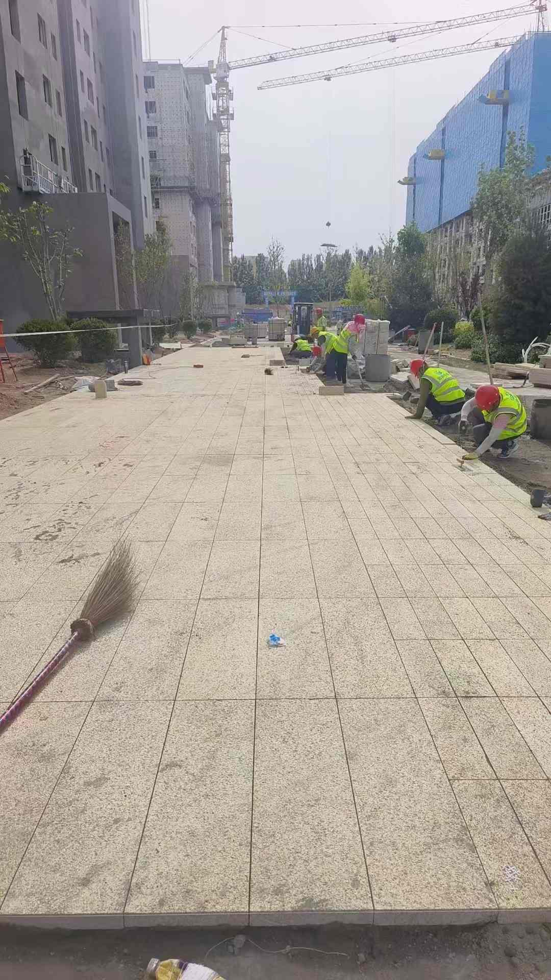 衢州黄金麻荔枝面地铺案例